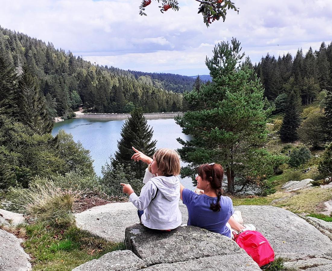 Chalet Hohneck 4 Etoiles, Vieux Bois Et Pierre, Spa, Sauna, Borne De Recharge Stosswihr Bagian luar foto